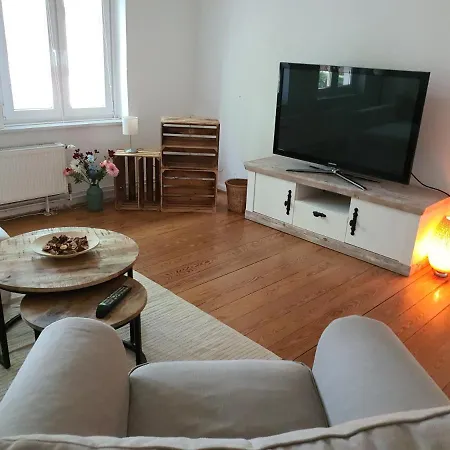 Appartement Wohnen In Der Buergermeistervilla *