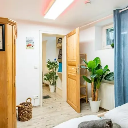 Gemuetliche 3-zkb Wc Souterrainwohnung In Bestlage Appartamento