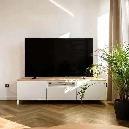 Apartment Airport Fuer 4 - Smart Tv - Kueche - Echarger *