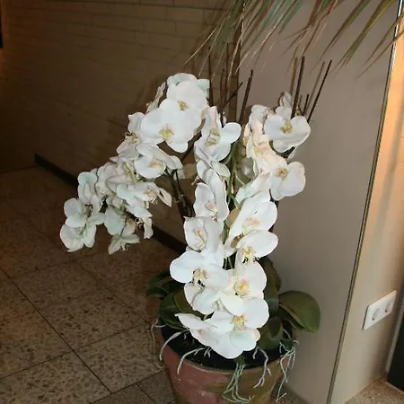 Albertus Paris 아파트호텔 함브루크
