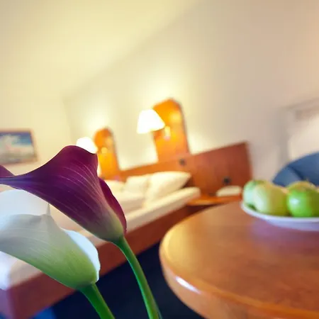 Aparthotel Apartment-hotel Mitte 3*