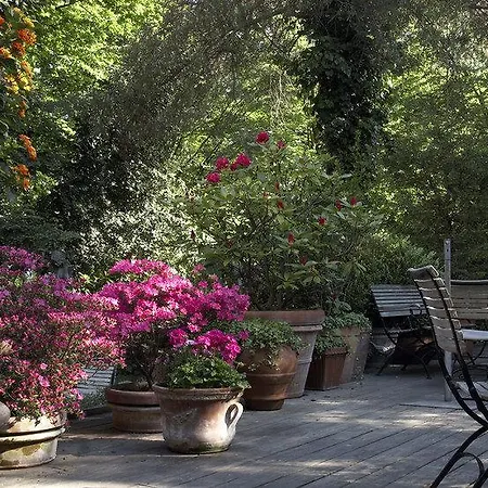 فندق Wedina An Der Alster 4*