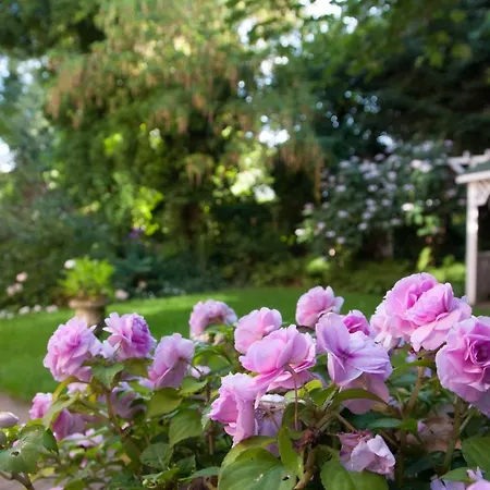 Von Deska - Ivy House Aparthotel 3*