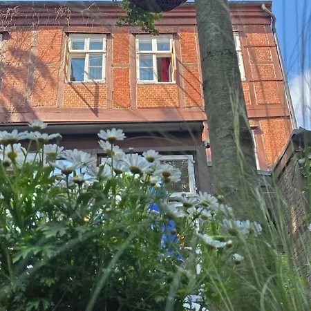 Frauenhotel Hanseatin - Women Only 2*