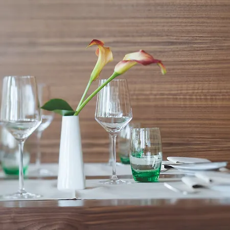 Hotel Moevenpick 4*
