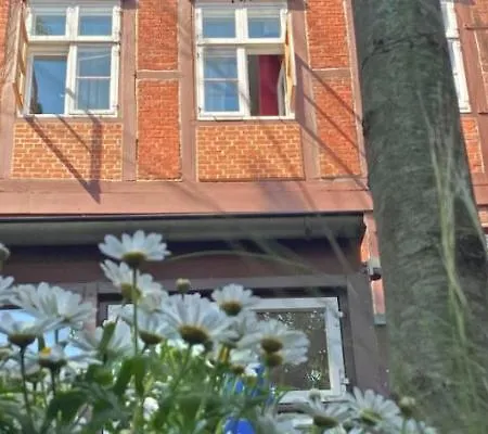 Frauenhotel Hanseatin - Women Only 2*