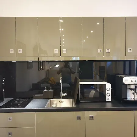 Industrial Loft House +luxury Bathroom